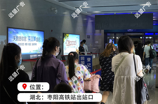 漢十高鐵-棗陽(yáng)高鐵站