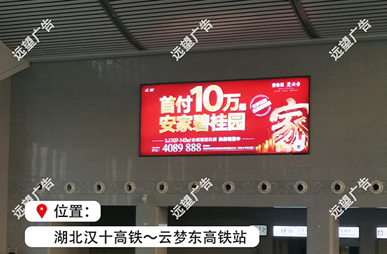 漢十高鐵-云夢(mèng)東高鐵站