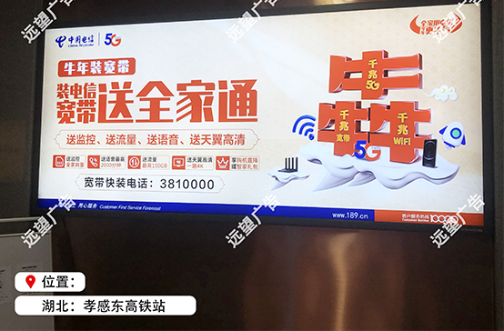 漢十高鐵—孝感東高鐵站