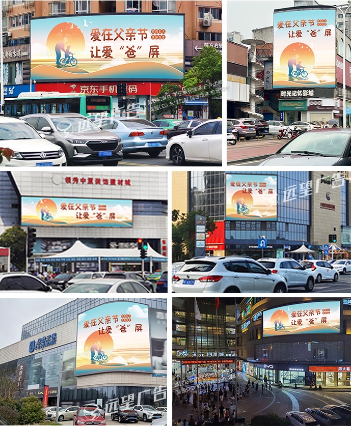 《父愛偉大，全城綻放！》